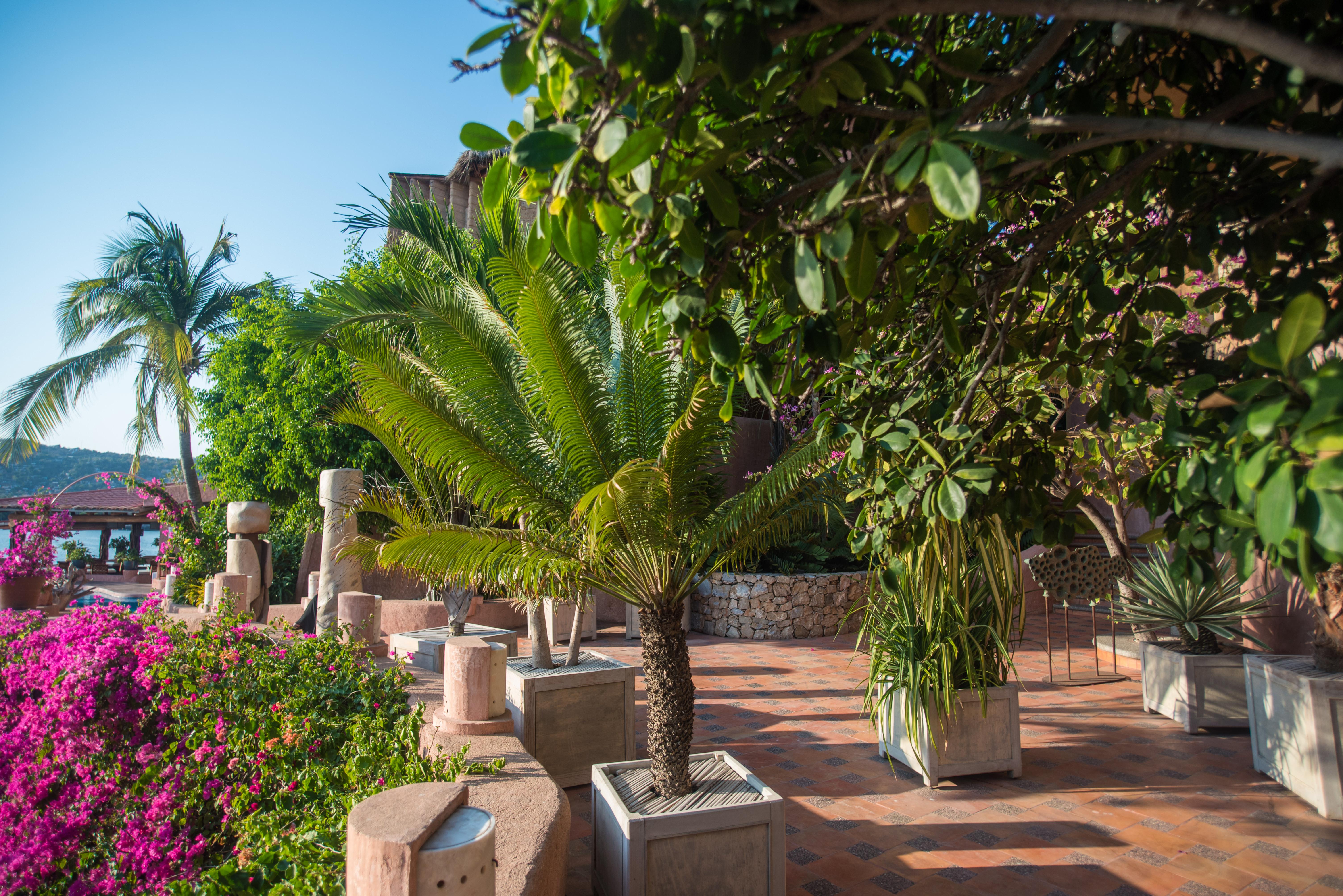 La Casa Que Canta (Adults Only) Zihuatanejo Extérieur photo
